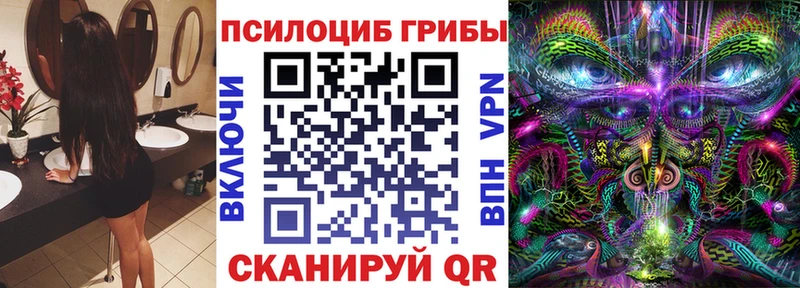 Купить где  Зарайск  Псилоцибиновые грибы Psilocybine cubensis 